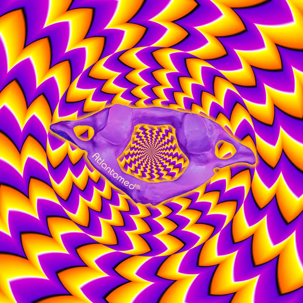 Illusione manipolazioni cervicali chiropratiche